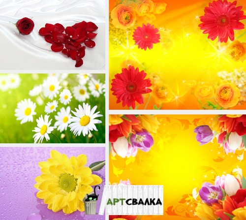 Яркие цветочные фоны | Bright floral backgrounds